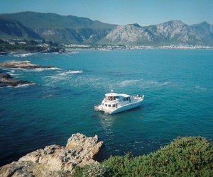 SUMMER CRUISES in Hermanus